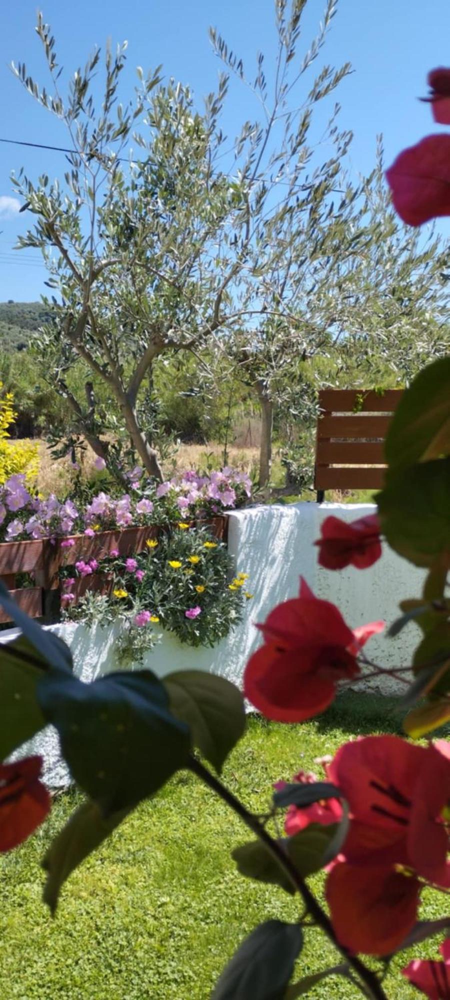 Villa Starfish Koropi Pelion Milies South Pelion Exterior foto