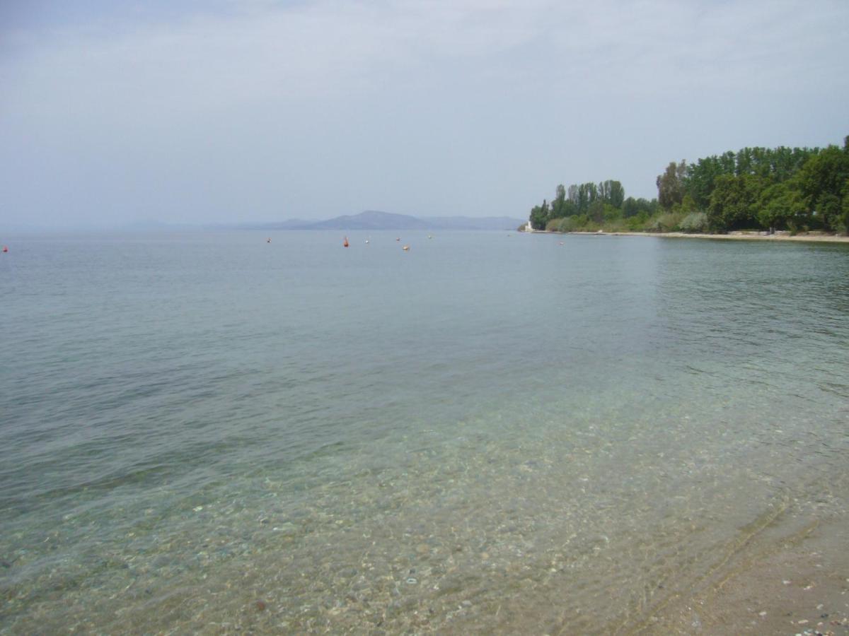 Villa Starfish Koropi Pelion Milies South Pelion Exterior foto